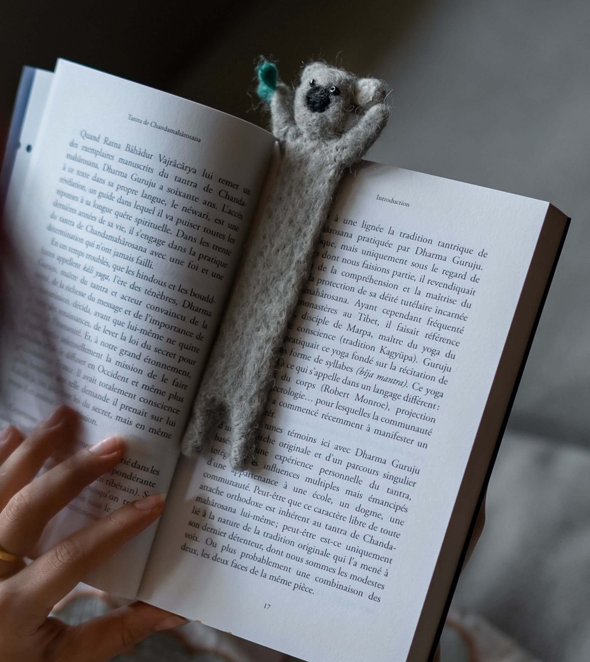 Bookmarks