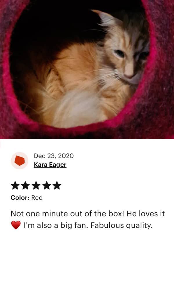 Everest Pet Cave