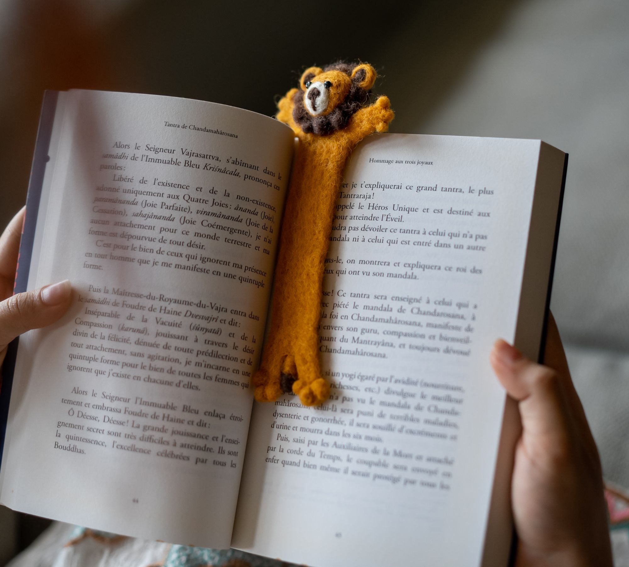 Bookmarks