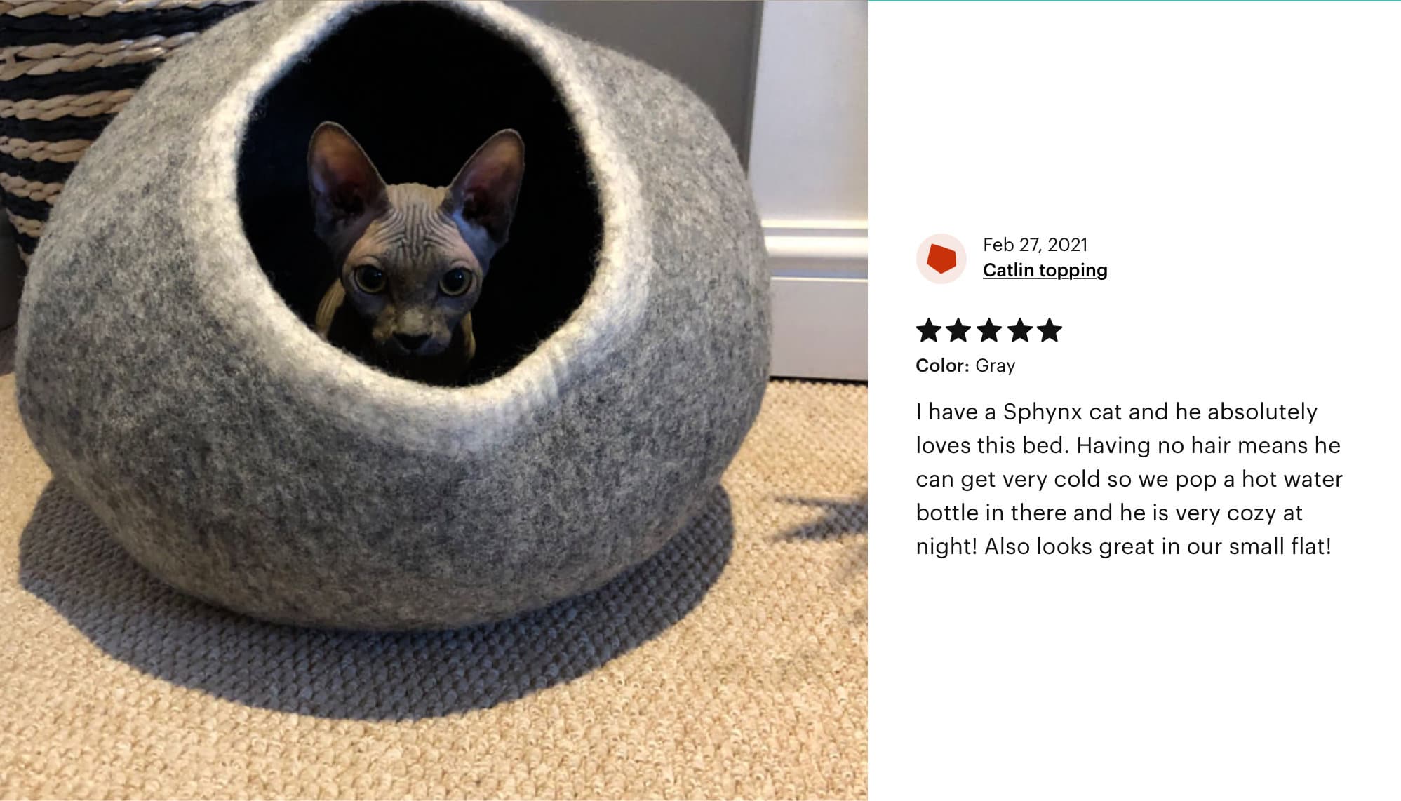 Everest Cat Cave