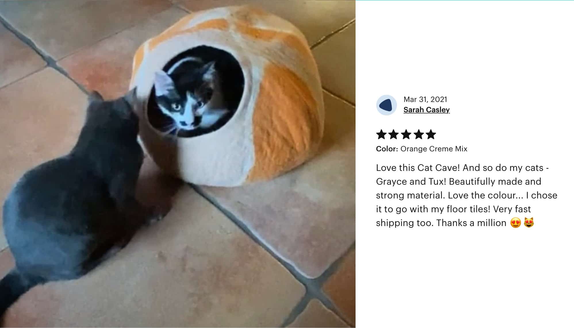 Everest Cat Cave