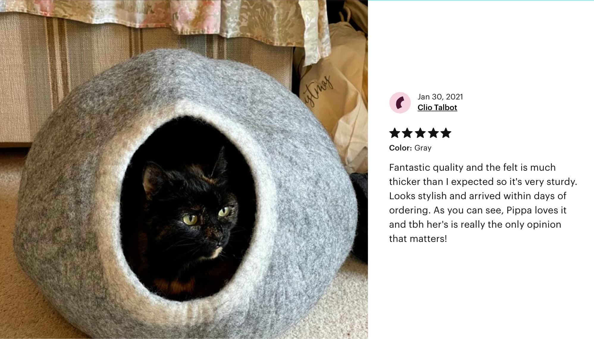 Everest Cat Cave