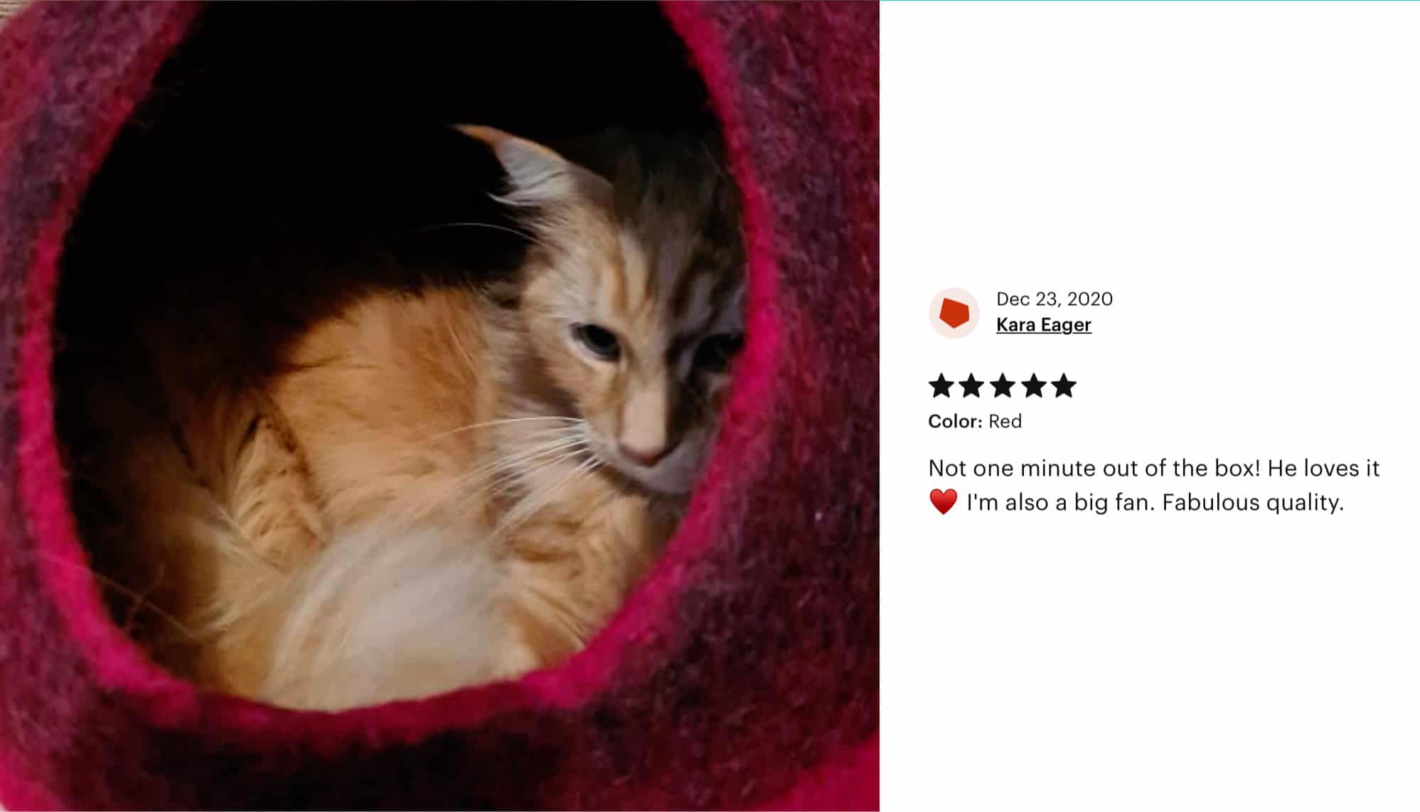 Everest Cat Cave