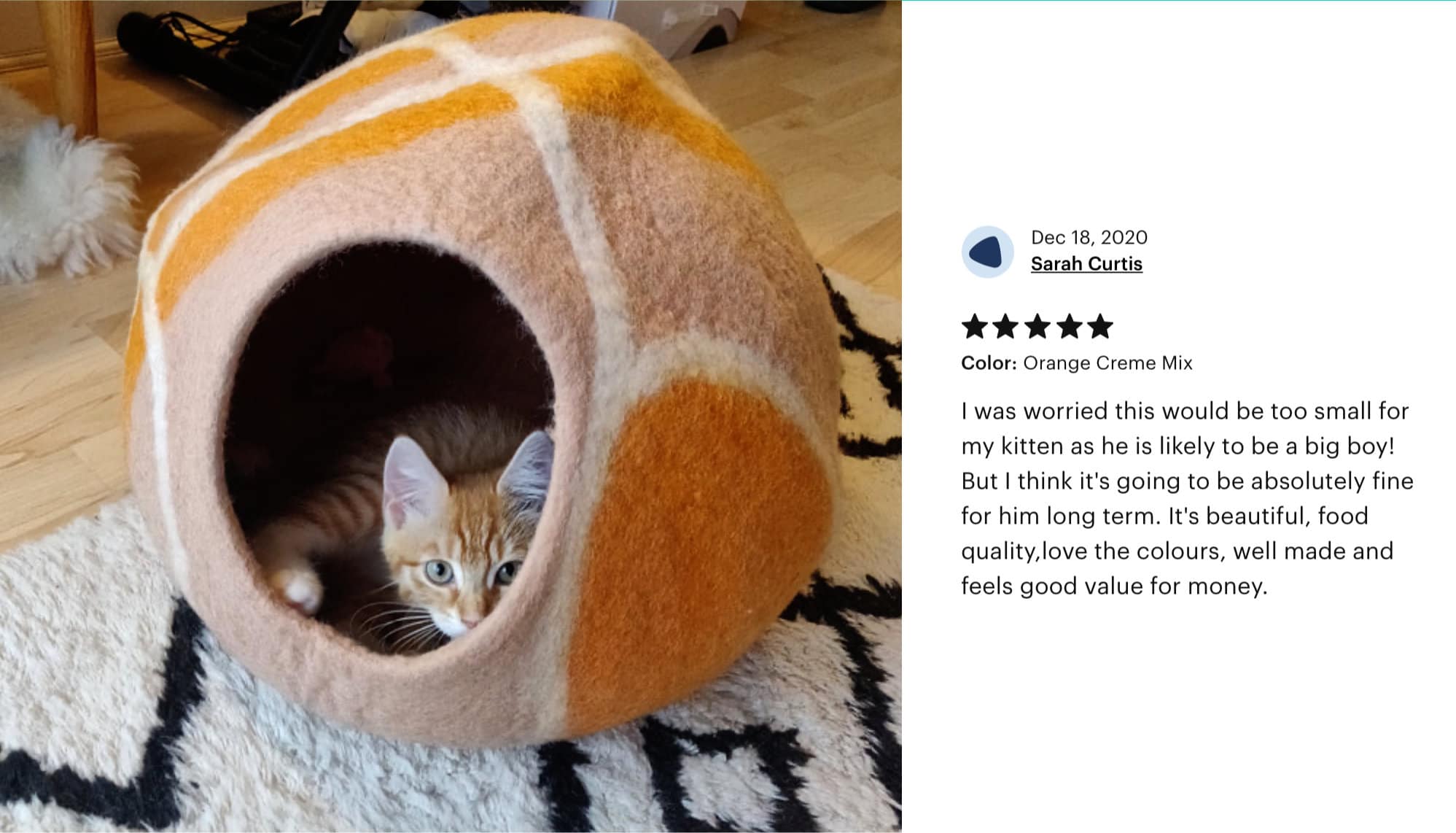 Everest Cat Cave