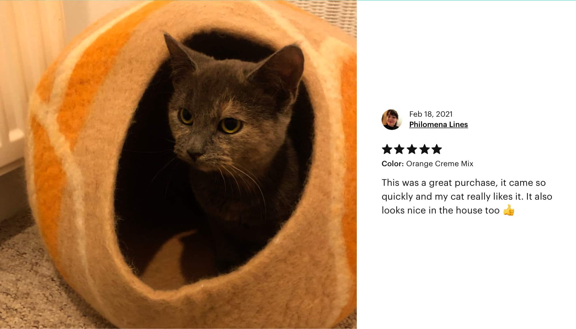 Everest Cat Cave