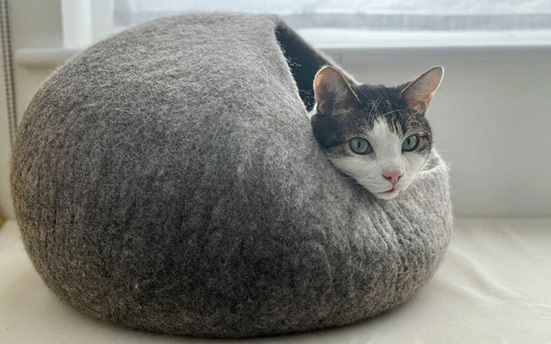 Cat Caves