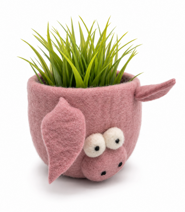 Felted Plant Potter Basket - Piggy