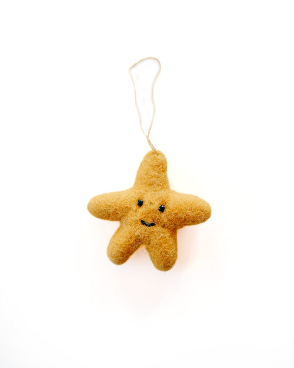 Hanging Ornaments - Star