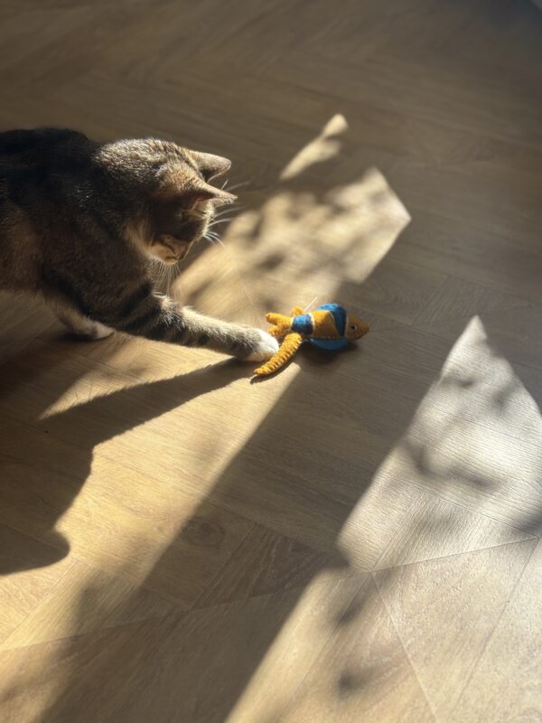 Cat Toy - Fish, Set of 3: Bells inside, 100% Wool