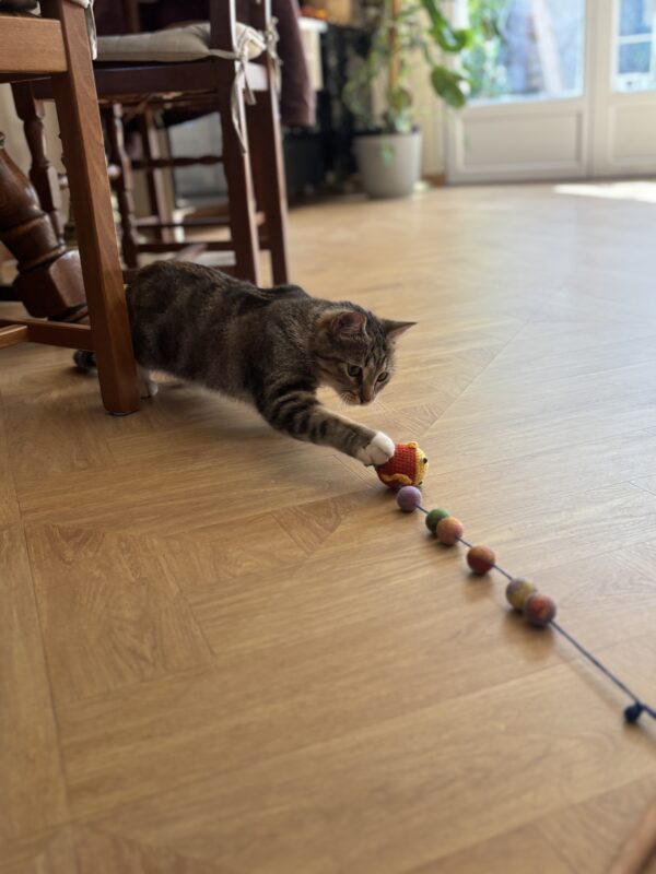 Crocheted Fish Cat Stick Toy: Handmade