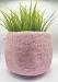 pigplant2