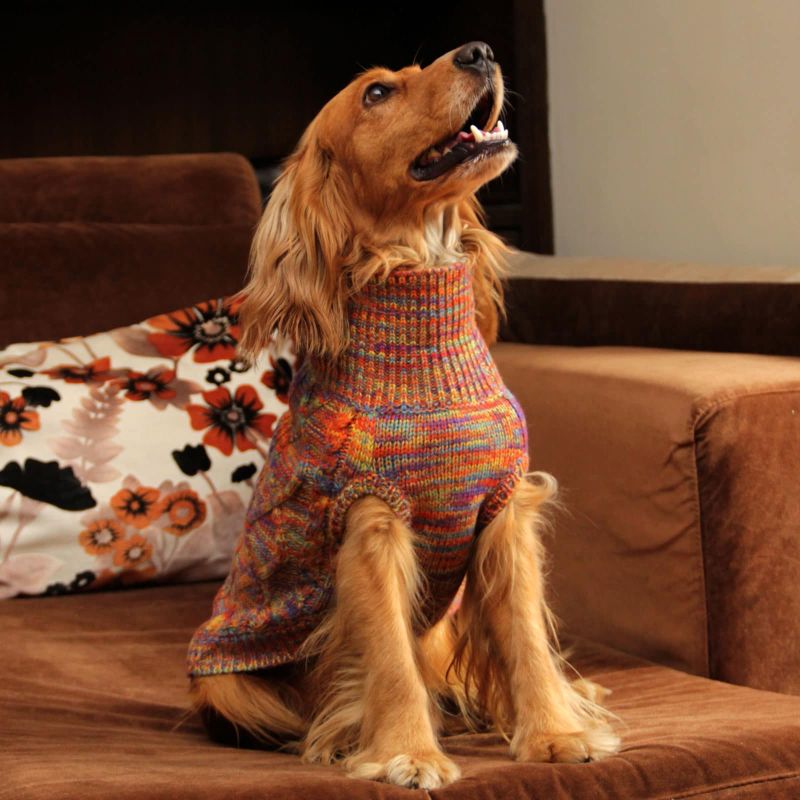 Everest doggo Sweater