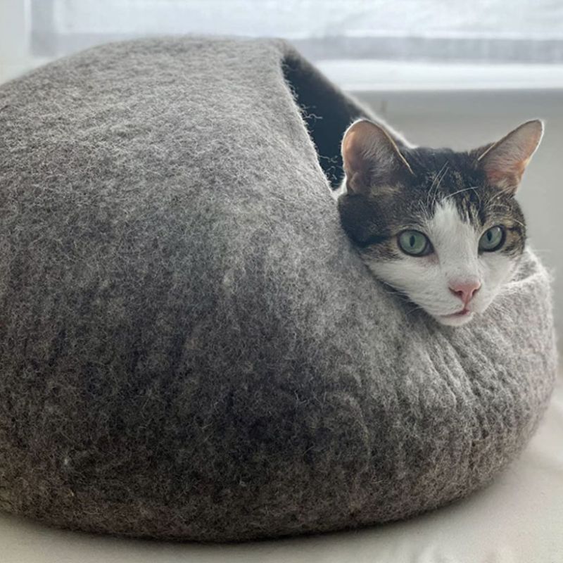 Everest Pet Cave