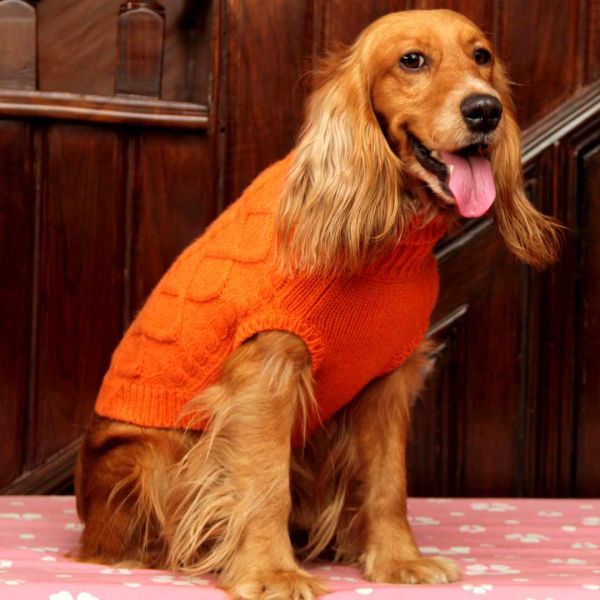 Everest Doggo Sweaters