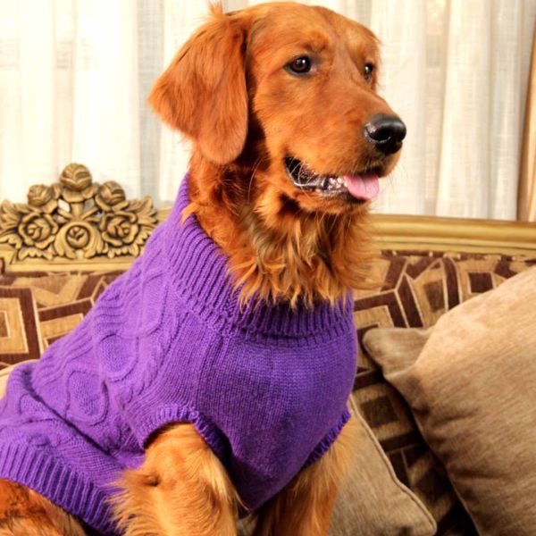 Everest Doggo Sweaters