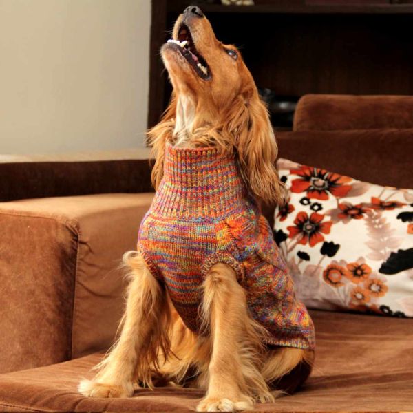 Everest Doggo Sweaters