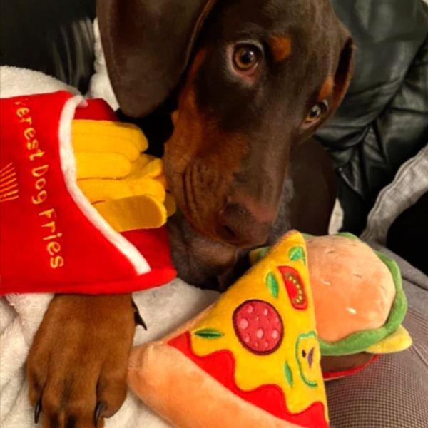 Squeaky Toys Fast Food Edition