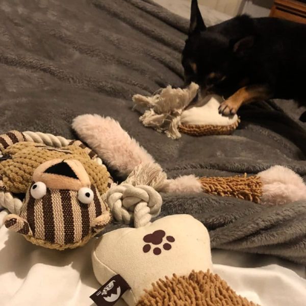 Everest Plush Squeaky Toy Set
